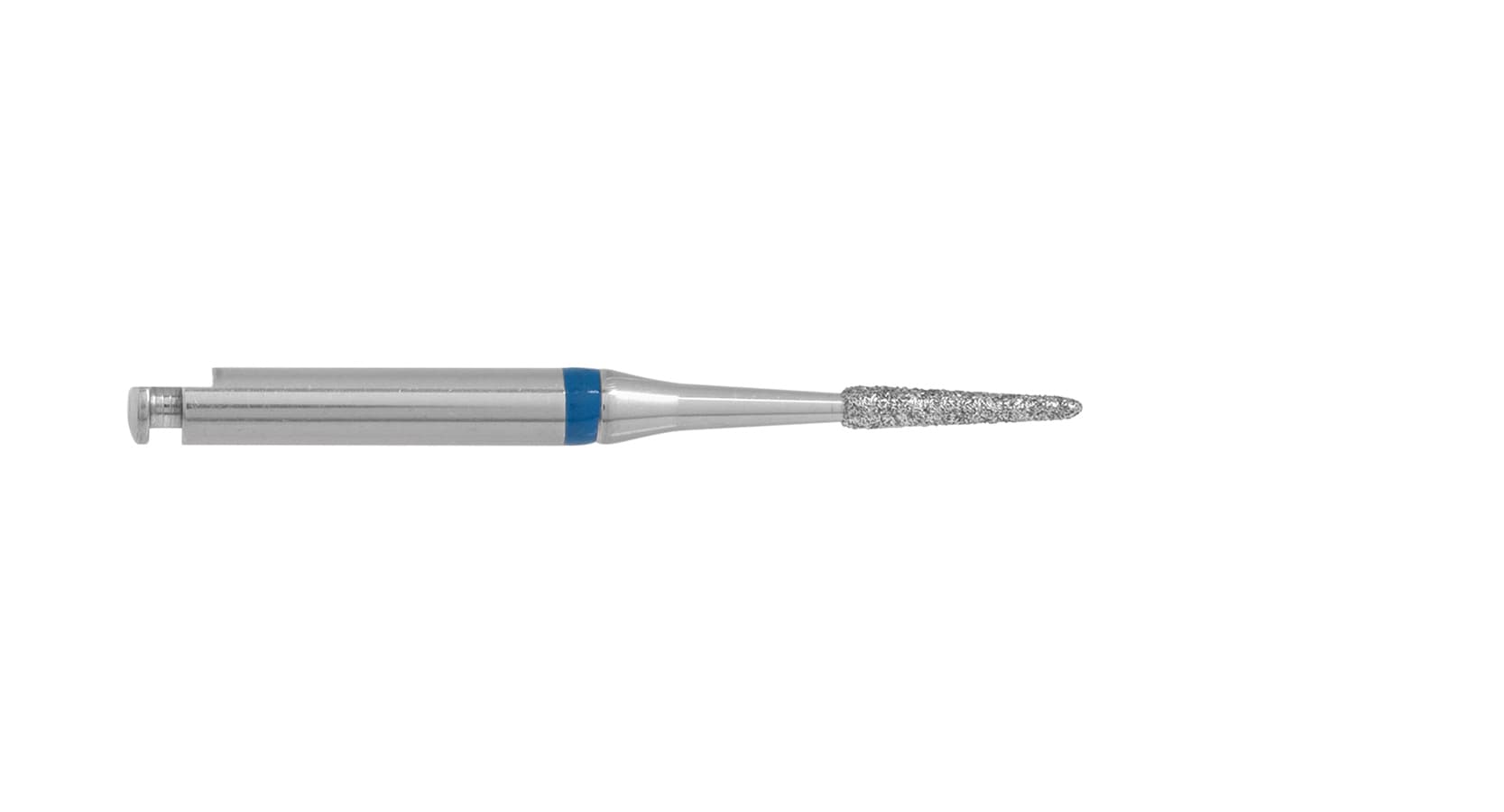 8831L.205.014x006 Bourgeon, rond long